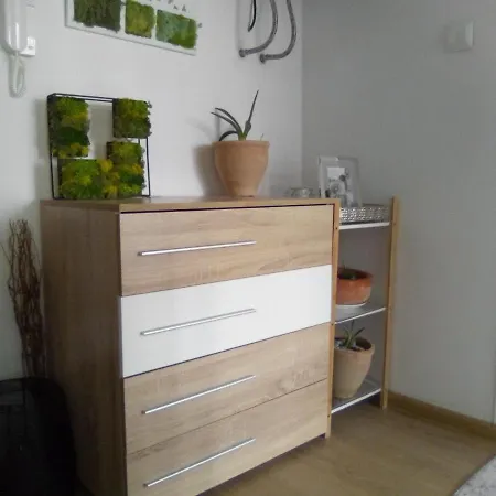 Apartment Home